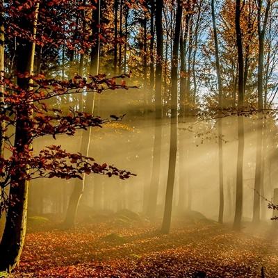 爱体育官方网站app下载