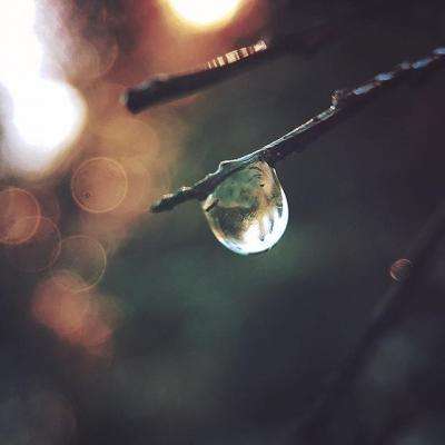 BOB彩票·(中国)平台APP下载