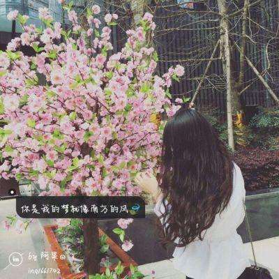 江南JN体育登录入口